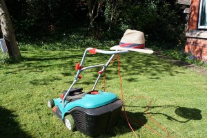 Don't try and mow the lawn...go and do something less boring instead!