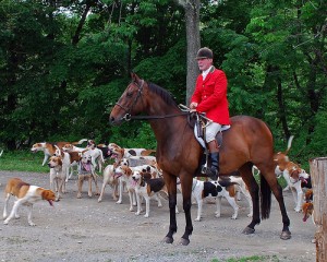 Job hunting with dogs has been banned